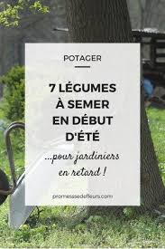 Potager 7 Legumes Faciles A Semer En Debut D Ete Potager Jardin Potager Et Jardinage