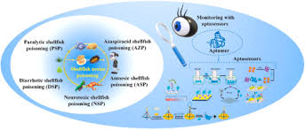 Image result for Amnesic Shellfish Poisoning