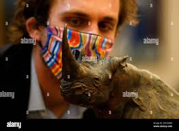 Dylan lewis hi-res stock photography and images