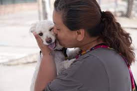 Click on the photo for additional information. Safe Haven Program City And County Of Denver