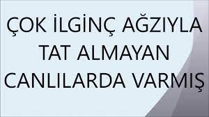 ayaklariyla tat alan bu canliyi biliyor muyuz ale