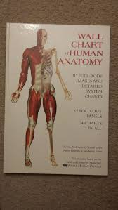 Wall Chart Of Human Anatomy For Sale In North Tonawanda Ny