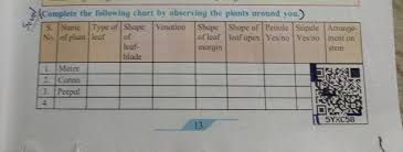 Complete The Following Chart By Observing The Plants Anro