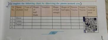 complete the following chart by observing the plants anro