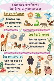 7 ideas de Animales invertebrados