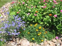 With the help of our volunteers, we teach the people in the villages to irrigate their farmland to produce better crop yields and fight hunger. A Well Watered Garden Kerstin Lundquist S Blog