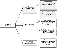 Isometrics For Mass T Nation