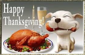 On top of that, you can send all thanksgiving pictures as a greeting card to your family and friends absolutely free and even add a few nice words to your personal ecard. Funny Thanksgiving Gif Free Download For Facebook