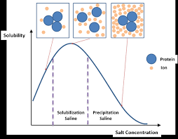 Option 2 is correct which says that water will move into the animal cell, causing it to swell and burst. Chapter 3 Investigating Proteins Chemistry