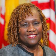 August 6 County Primary Election Guide