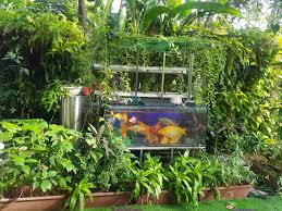 Electhrone technology sdn bhd is a consulting and it services company founded by a team of visionary local technopreneurs. Ecoclean Technology Urban Farming Aquaponics Green Wall Green Matrix Era Expertise Resource Association