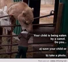 50 People You Wish You Knew In Real Life Funny Pictures Haha Funny Funny Animals