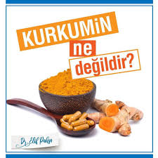 Kurkumin Nedir Faydalari Nelerdir Food Animals Dog Food Recipes Food