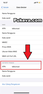 Cara Mengatasi Hotspot Pribadi Hilang Setelah Update ke iOS 14 | PUKEVA