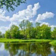 Willie Futrell Sr. Obituary