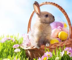 Freie kommerzielle nutzung ✓ kein bildnachweis nötig ✓. Happy Easter Desktop Nexus Wallpapers Easter Wallpaper Easter Bunny Pictures Easter Bunny History
