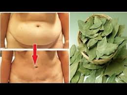 معجزة ورق الغار ستجعل بطنك مسطحا وشعرك كثيف خالي من الشيب ووجهك أبيض ومشدود كالقمر Youtube Health Facts Fitness Health Fitness Food Health Fitness Nutrition