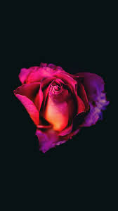 Explore tons of best oled wallpapers for your computer, ipad, iphone, android and tablet. 720p Oled Backgrounds 1080x1920 Download Hd Wallpaper Wallpapertip