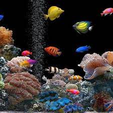 Menakjubkan 29 Wallpaper Bergerak Lucu Untuk Hp Android Download Wallpaper Animasi Bergerak Untuk Hp Free Hd Wallpaper 35 Download Wal Lucu Lukisan Binatang