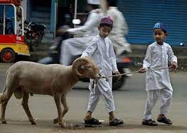 Celebration of eid al adha muslims around the world celebrate eid al adha for two to four days (depending on the country). Towards An Eco Friendly Eidul Adha Ecomena