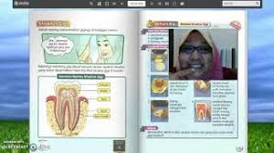 Sekiranya sebatang gigi dibuat keratan rentas, struktur gigi dari luar ke dalam ialah: Sains Tahun 3 Keratan Rentas Struktur Gigi Youtube