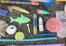 Porth Trecastell beach clean and shoreline safari