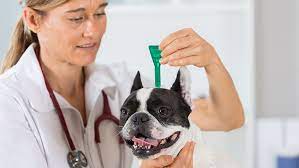 23,531 likes · 120 talking about this · 12 were here. Reduced Cost Vaccine Clinic In Las Vegas Nv Vca Nellis Animal Hospital