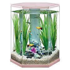 Maybe you would like to learn more about one of these? Top Fin Serenity Vivid View 360 Aquarium 3 Gallon Fish Aquariums Petsmart