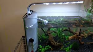 My new top fin 3.5 gallon fish tank setup, watch step by step how i set it up. Top Fin 5 Gallon Glass Aquarium Review Youtube