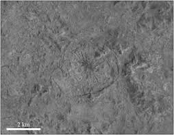 Image result for Blendtone Gray 1983 Hussmann