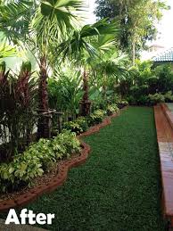 Tropical Palms And Plants Thailand Jardines Bonitos Jardines Tropicales Jardines