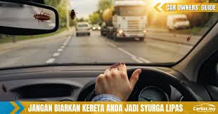 7 cara halau lipas menggunakan bahan semula jadi. 8 Tips Halau Lipas Daripada Membiak Dalam Kereta Car Owners Guides Carlist My