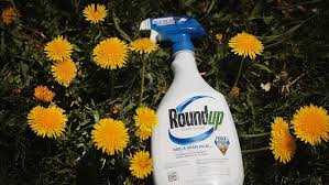 How unemployment debit cards work. How Does The Herbicide Glyphosate Roundup Work Howstuffworks