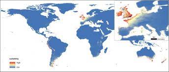 In total, approximately 32 different species of black widow are believed to exist, worldwide, including the southern and western black widow varieties. The Widow Next Door Where Is The Globally Invasive Noble False Widow Settling Next Eurekalert Science News