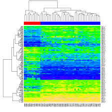Image result for bioinformatics heatmap