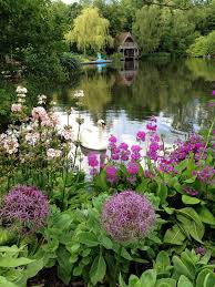 Shere Open Gardens Beautiful Gardens Backyard Sanctuary English Country Gardens