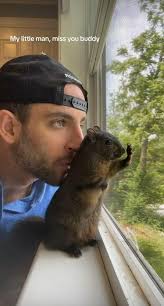 A Heartbreaking Farewell 💔💔💔 Today, we remember two precious souls who  were taken from this world far too soon—Peanut the Squirrel and Fred the  Raccoon. They weren't “just wild animals”; they were