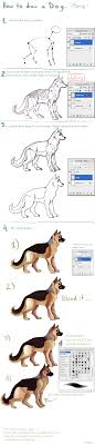 Illustrated for mallory's donation postcard series. Tutorial How To Draw A Dog By Yurikuu On Deviantart