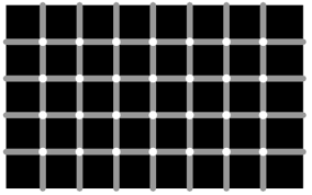 Image result for illusion pictures