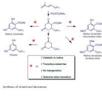 Catalytic Synthesis of Olivetol and Derivatives - Thieme ...