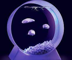 Mini Jelly Fish Tank Jellyfish Tank Pet Jellyfish Jellyfish Aquarium