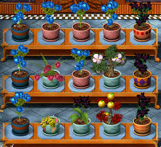 Plant Tycoon Tumblr