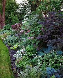 Helena Hansson Sur Instagram God Morgon Skuggrabatten Fran I Gar Kvall Idag 13 Gr Och Det Kanns Att Vi Gar Mot Host Ha En Br In 2020 Outdoor Outdoor Decor Plants