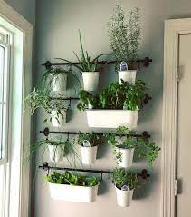 Indoor Herb Gardens On Instagram For The Kitchen Well Good Outdoorherbgarden Cottag Herb Garden Wall Herb Garden In Kitchen Indoor Herb Garden
