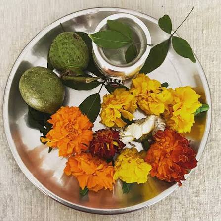 Seema Agarwal | Special Offerings for MAHA SHIVRATRI ????????????✨????  ????Flowers/फूल ????Water/जल ????Dhatura/धतूरा ????Bel Patra/ बेल्पत्र ????Bel/ बेल  ????Bhaang/ भाँग ????Milk/दूध... | Instagram