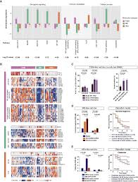 10 cm x 6 cm x 10 cm. Genomic And Transcriptomic Characterization Of Natural Killer T Cell Lymphoma Sciencedirect