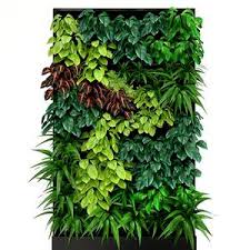 Plant 3dskymodel Download 3dmodel Free 3d Models 92 Vertical Garden Plants Plant Wall