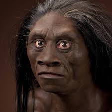 Daniel Arenson, Sci-Fi & Fantasy Author