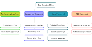 Organization Chart Soha Tech Co Ltd