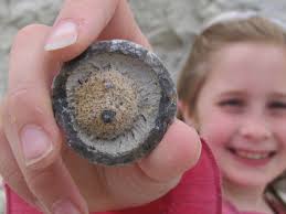 tourismni #tourismireland #visitstrangfordlough #visitnewrymourneanddown  #visitardsandnorthdown #mournegullionstrangford #familiarisation  #meetthebuyer #embraceagiantspirit #fillyourheartwithireland…